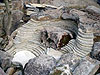 Frontier Tan Sandstone Waterfall, Mill Valley